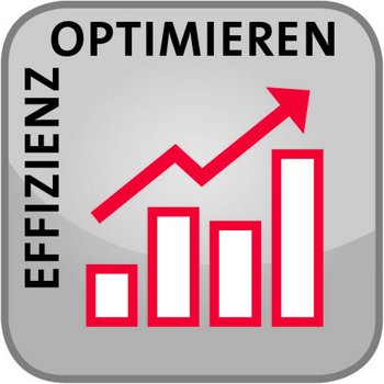 Process optimization with BIOGASmax