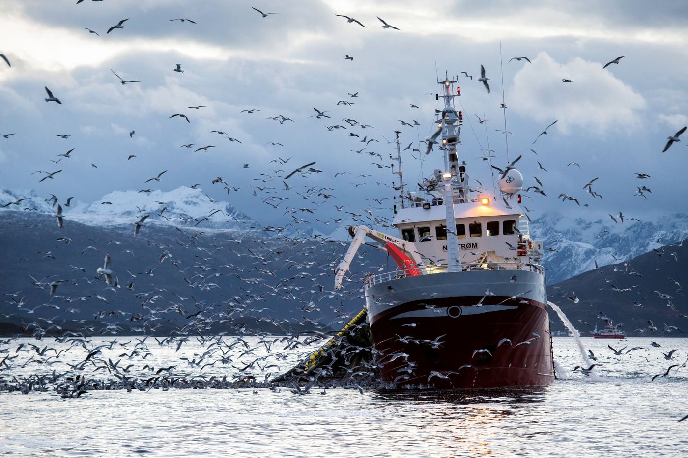 Vistanker op zee