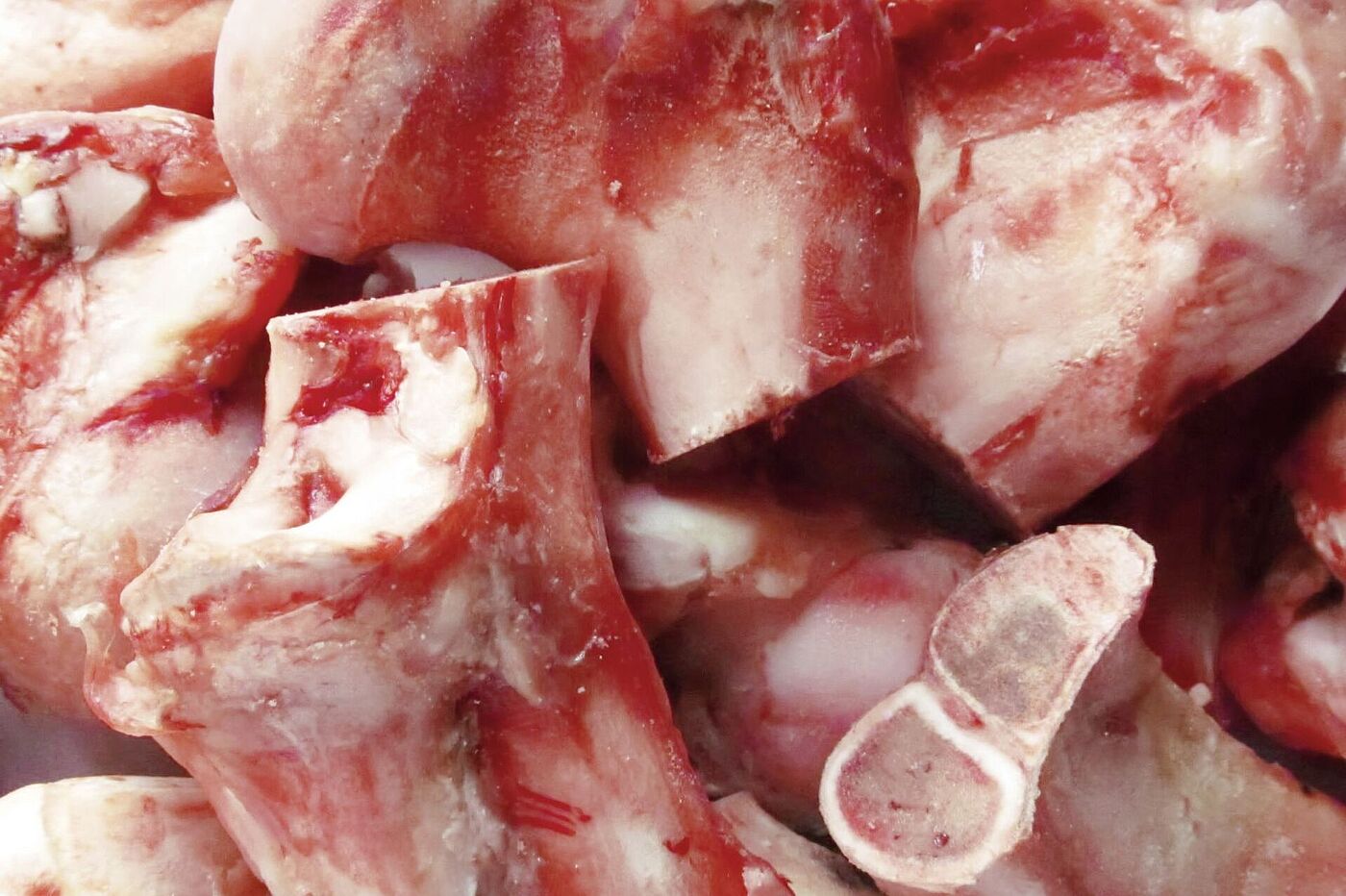 Ossos, um subproduto na indústria da carne