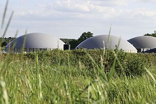 Biogasanlæg typer